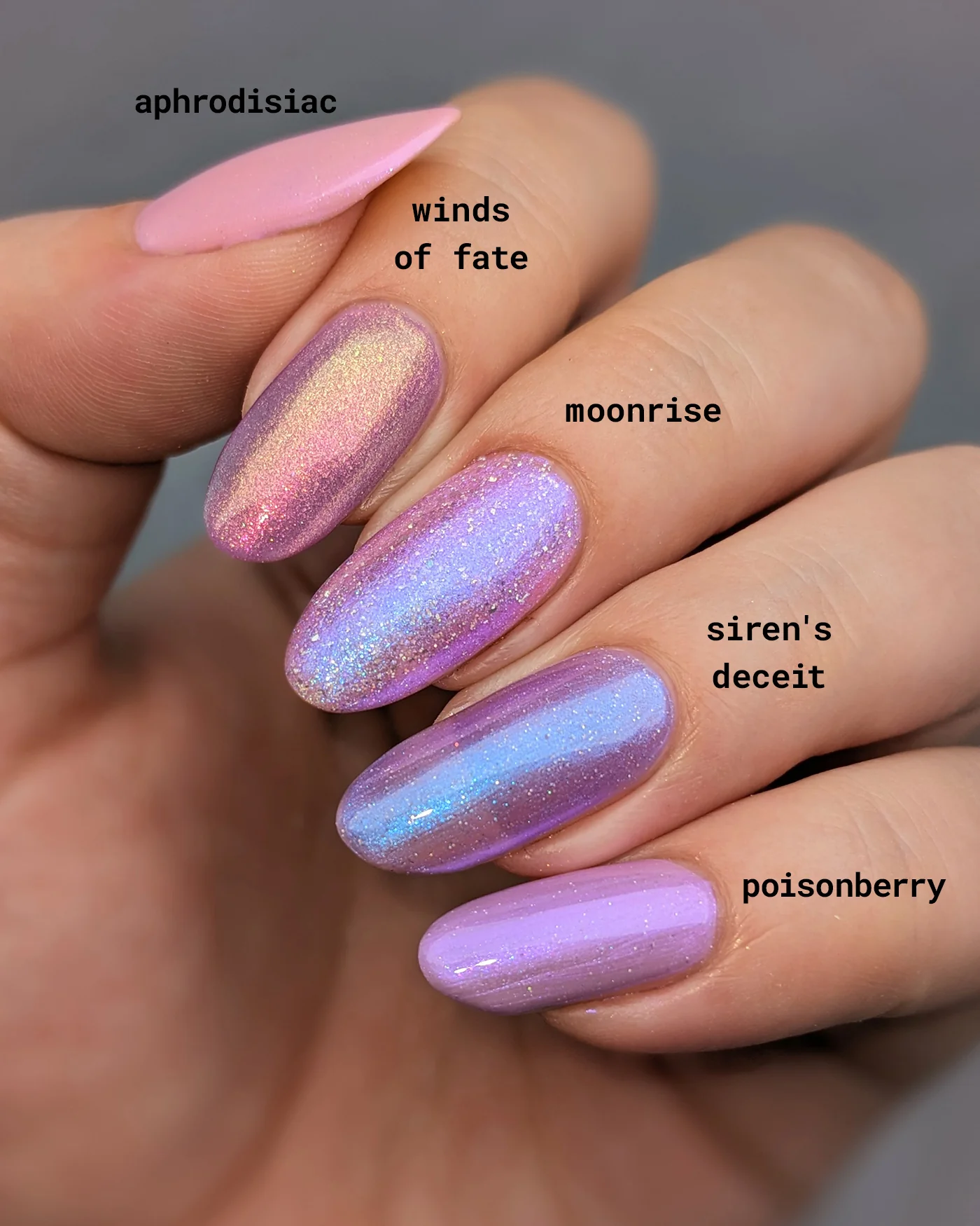 Moonrise - Image 7