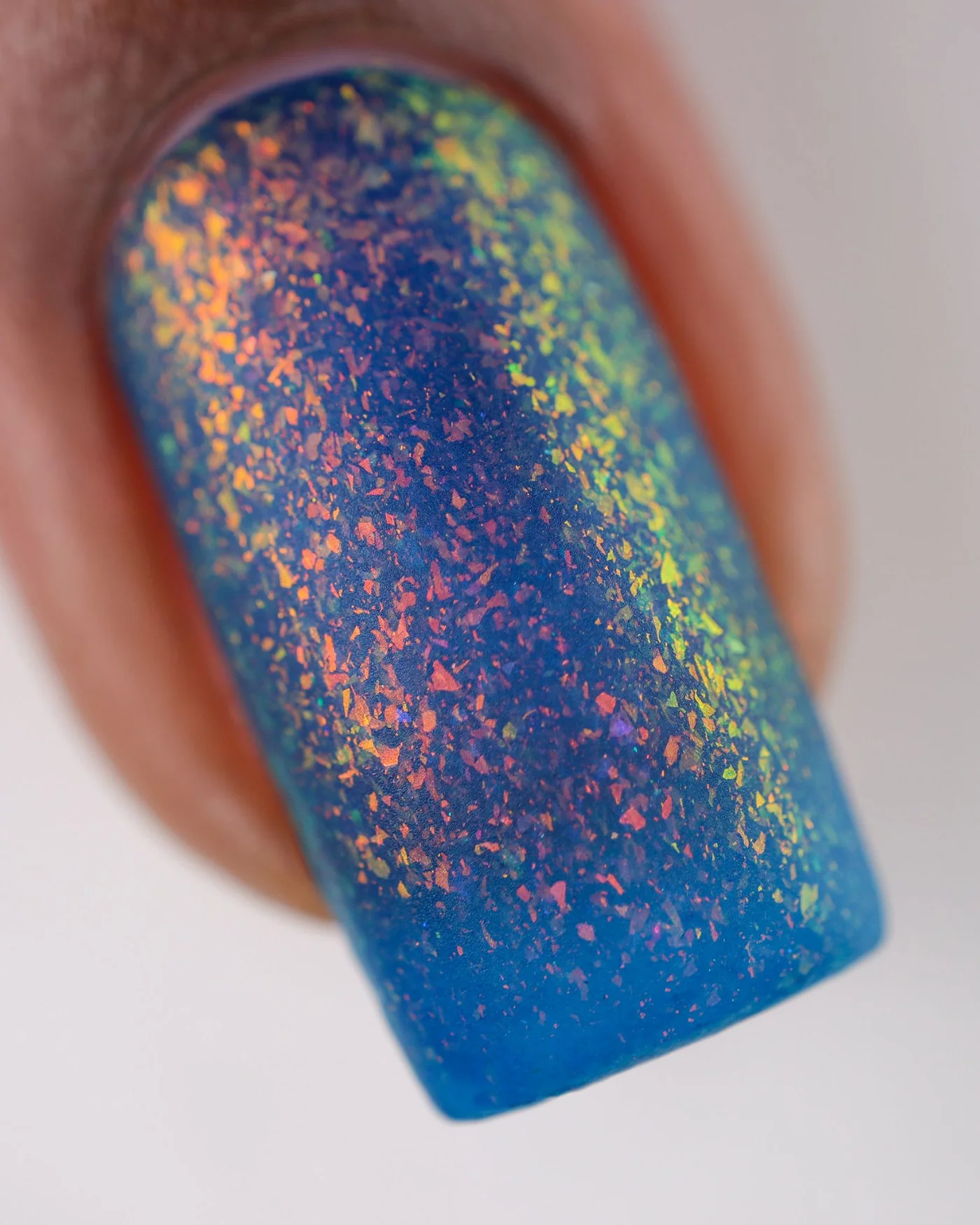 Pangea - Image 5