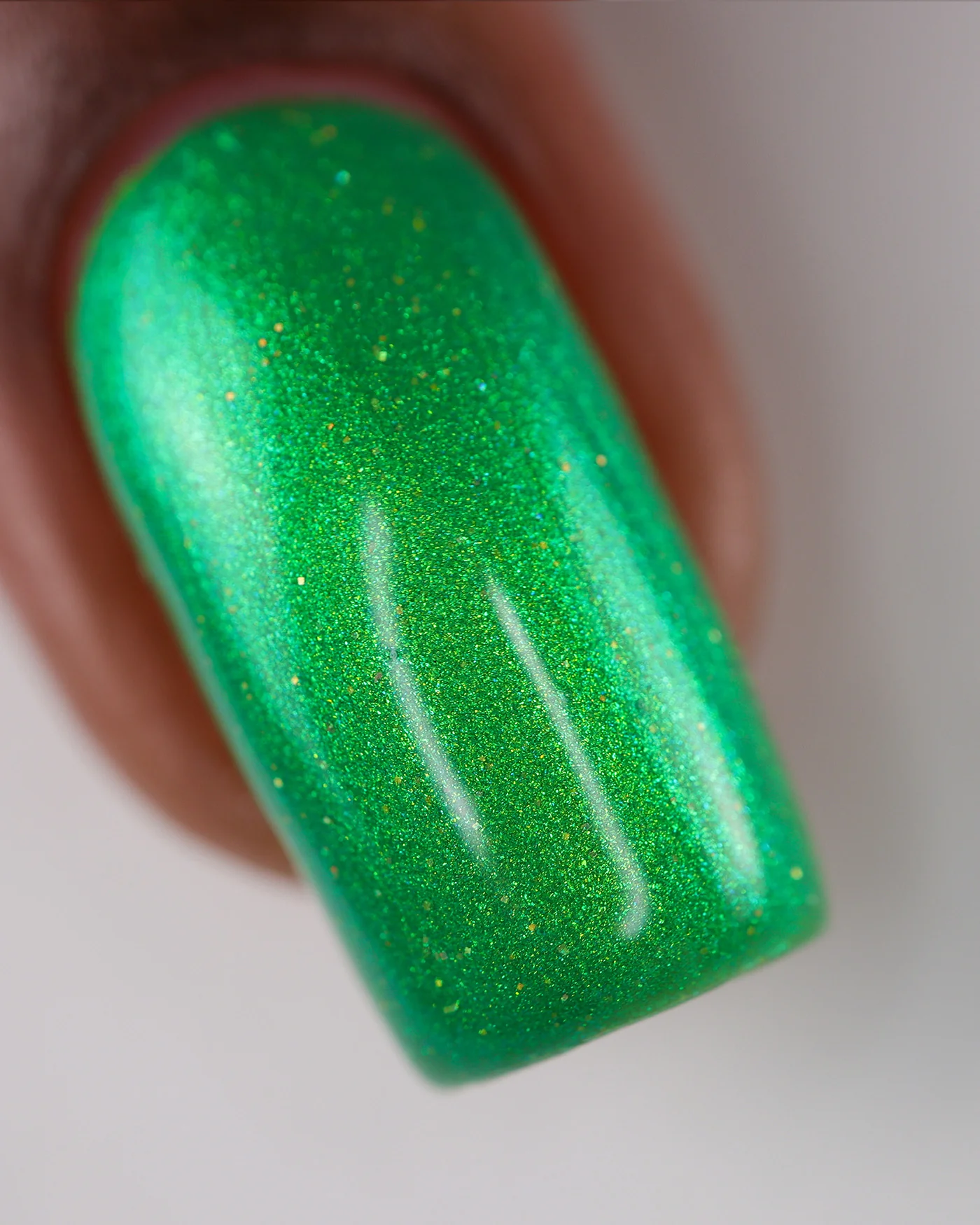 Plankton - Image 5