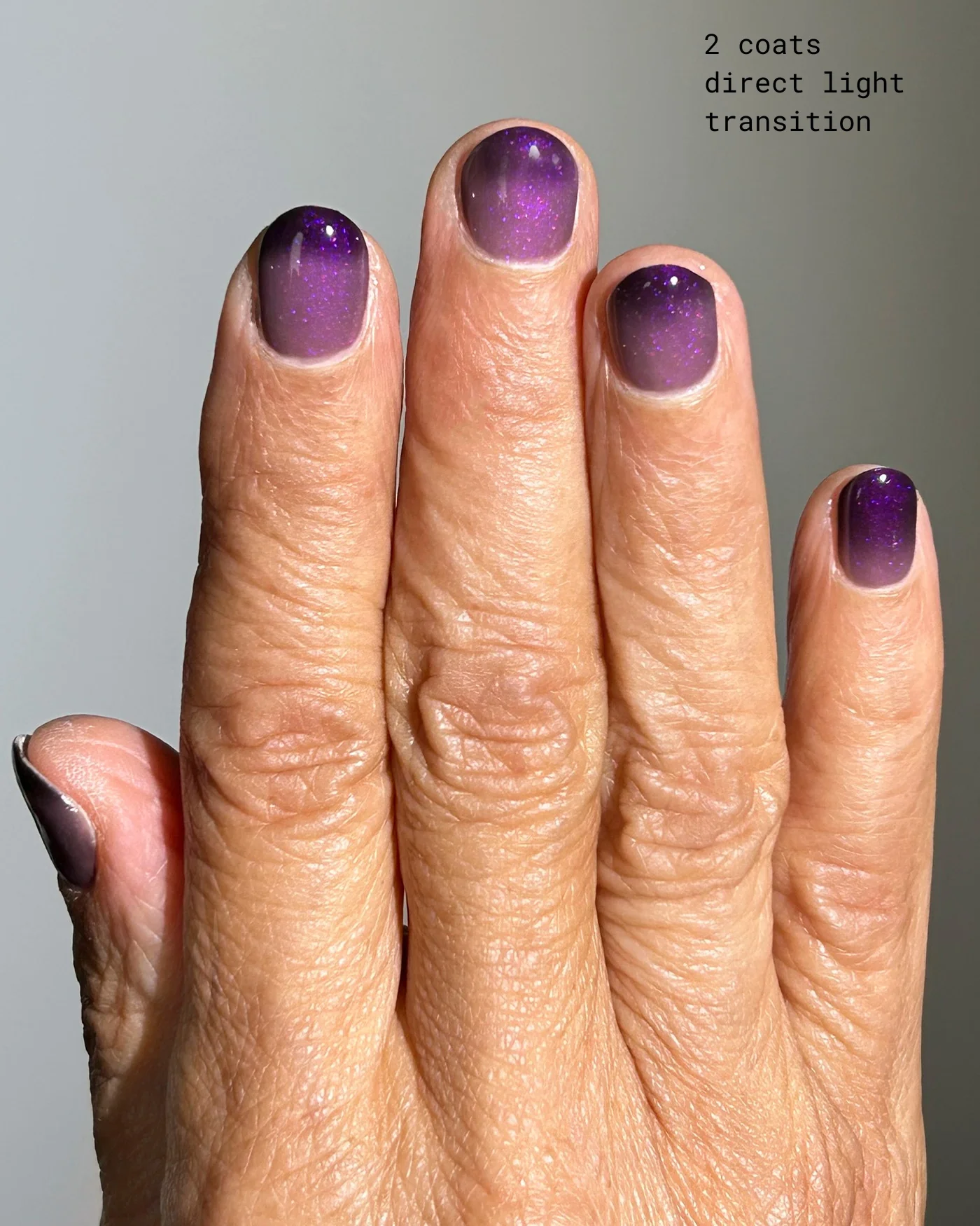The Doppelganger - Image 5