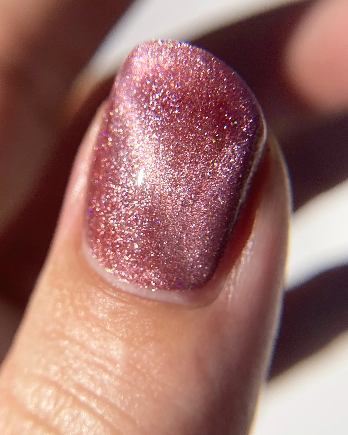 Velvet Rose - Image 4