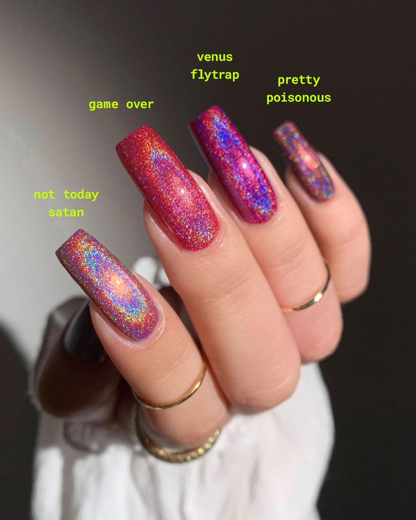Venus Flytrap - Image 4